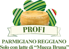 Logo-Profi-Rev1-small